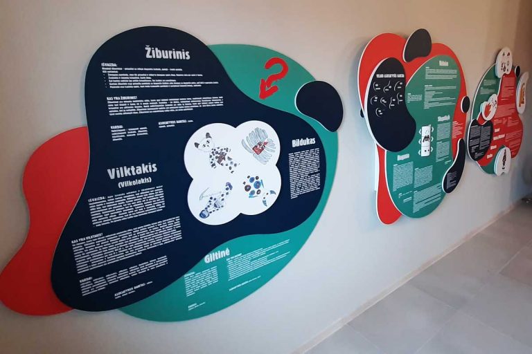Edukacinis manipuliacinis stendas, projektas 42